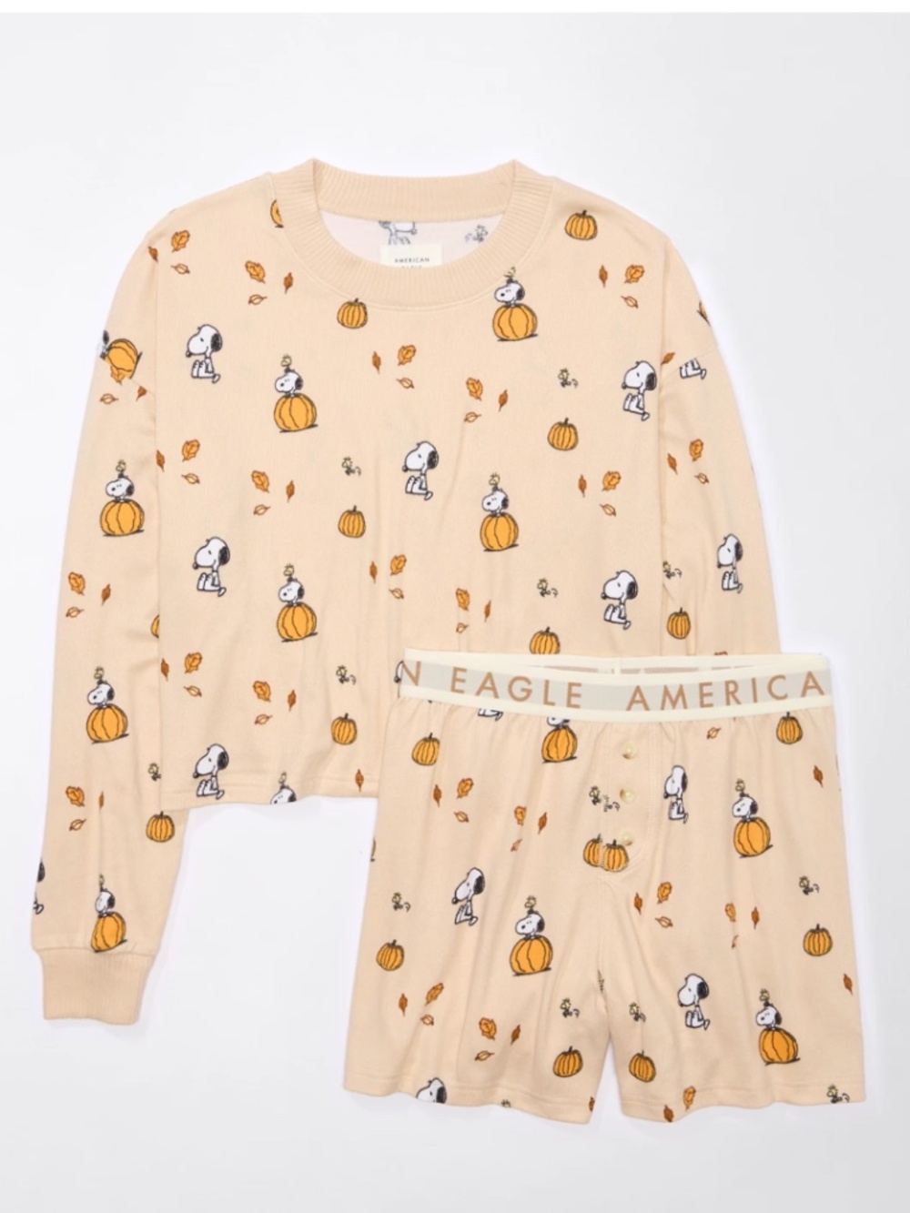 AE Peanuts Snoopy Fall Plush PJ Set | XL